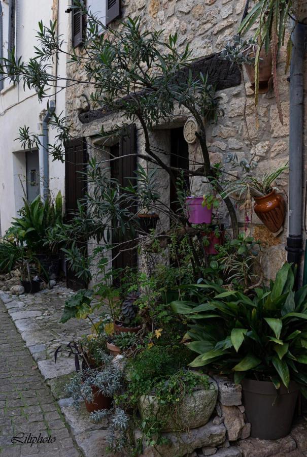 Cosy Provencal Apartment Belgentier Exterior foto