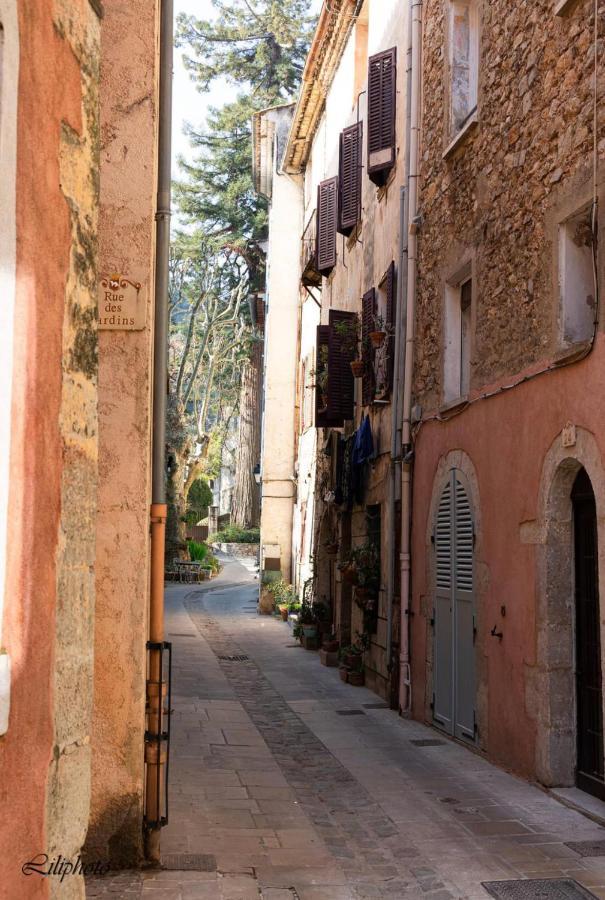Cosy Provencal Apartment Belgentier Exterior foto